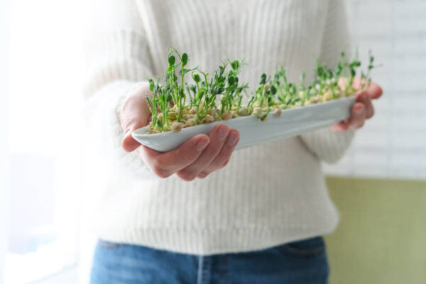 Istockphoto 1294472740 612x612