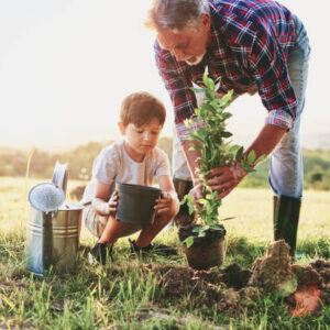 Grandfather and grandson planting a tree
