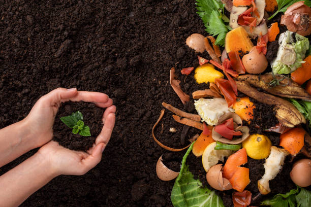 Composting 101: Turning Kitchen Scraps into Garden Gold