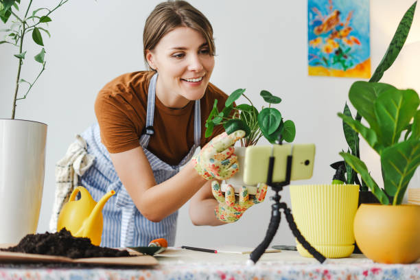 Online Courses and Masterclasses: Your Guide to Growing Plants, Vegetables, and Fruits at Home